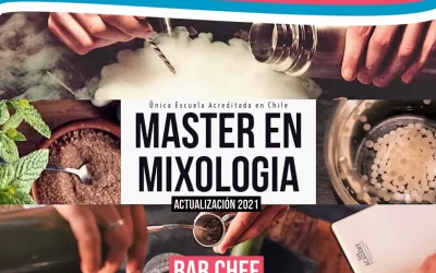 MASTER EN MIXOLOGIA, Bar Chef